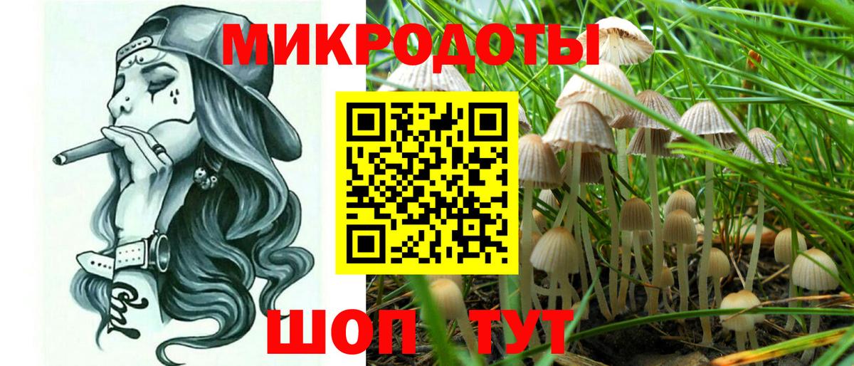 Галлюциногенные грибы Magic Shrooms  Галлюциногенные грибы MAGIC MUSHROOMS  Заинск 