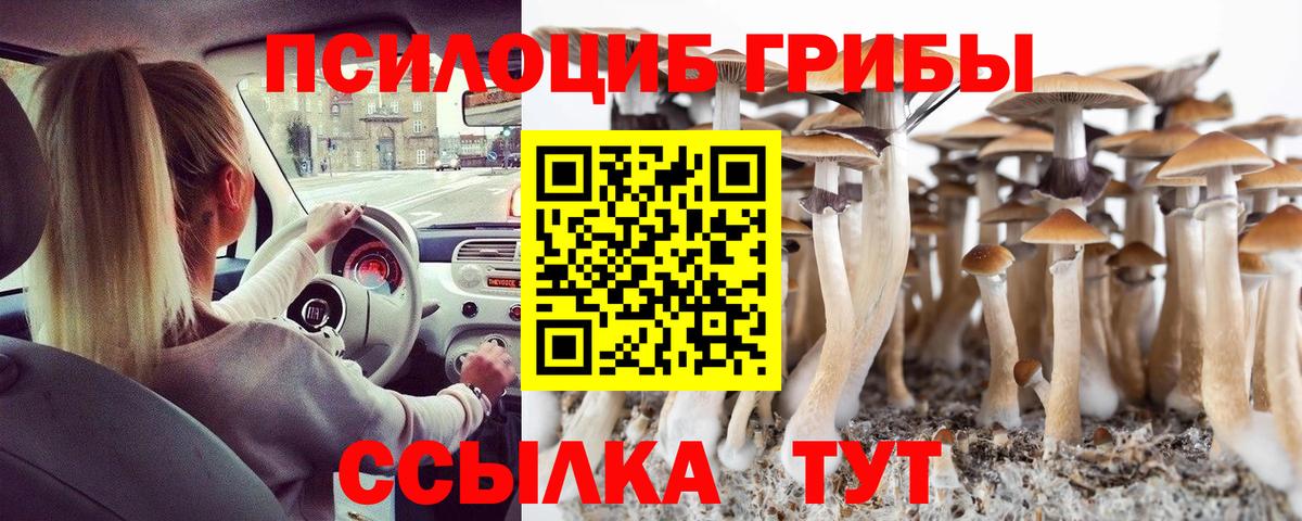 Псилоцибиновые грибы мухоморы Заинск