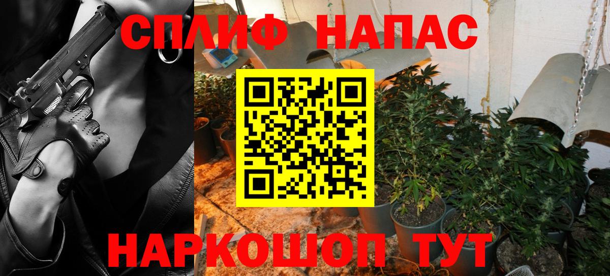 Каннабис SATIVA & INDICA  Бошки Шишки семена  Вход с VPN  Заинск 